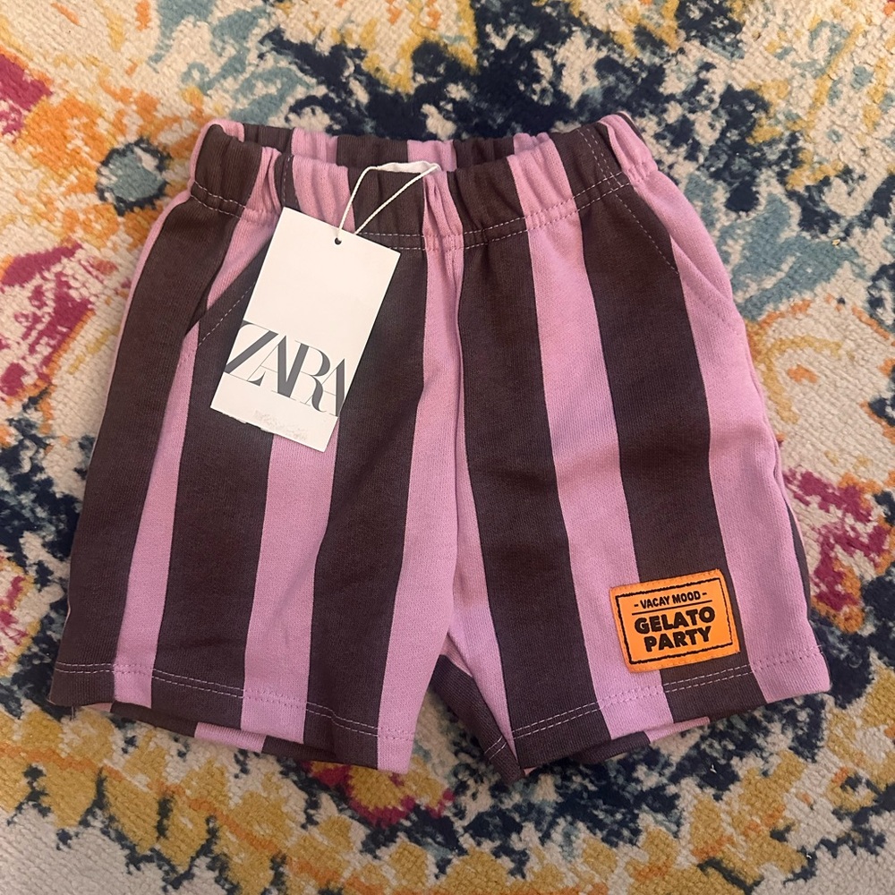 Zara Purple Stripe Shorts